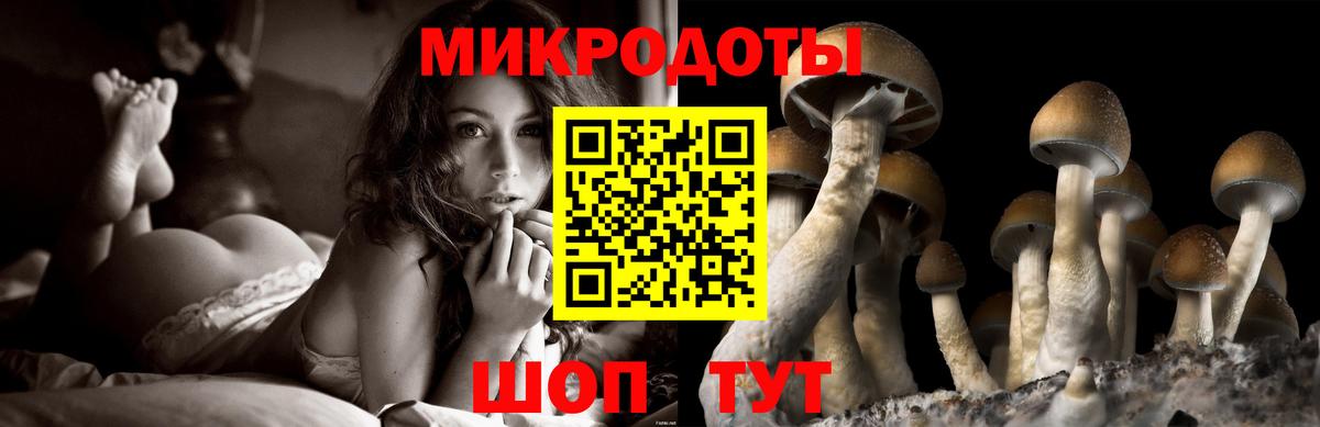 Галлюциногенные грибы Cubensis  Галлюциногенные грибы Magic Shrooms  где продают наркотики  Кузнецк  Вход с VPN 